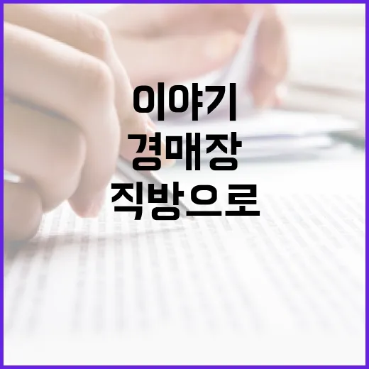 직방으로 시세 찍고 경매장 갔다가 입찰가를 낮춘 이야기 - 요약