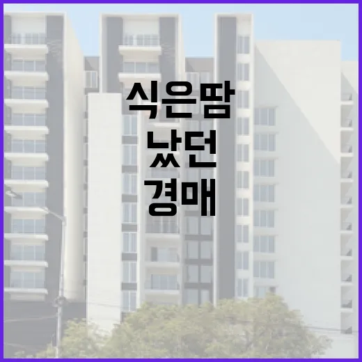 대법원법원경매정보만 믿고 입찰했다가 현장에서 식은땀 났던 이야기 - 요약