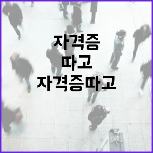 부동산경매자격증 따고 입찰장 가봤더니, 진짜 필요한 건 따로 있었습니다 - 요약