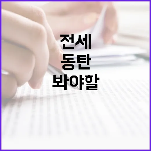 동탄전세 물건 직접 훑어봤더니, 싸 보이는 집일수록 먼저 봐야 할 게 있었습니다 - 요약
