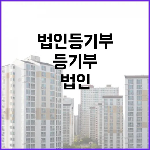법인등기부 한 줄 놓쳤다가 입찰가를 다시 쓴 날 - 요약