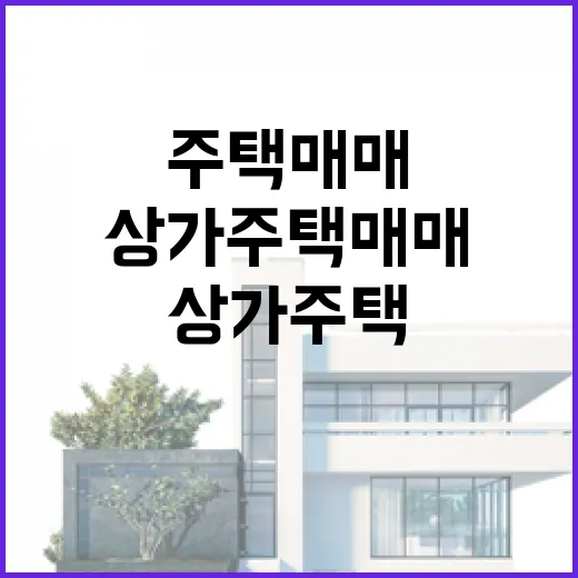 상가주택매매 물건 직접 따라가 봤더니, 숫자보다 먼저 보인 것들 - 요약
