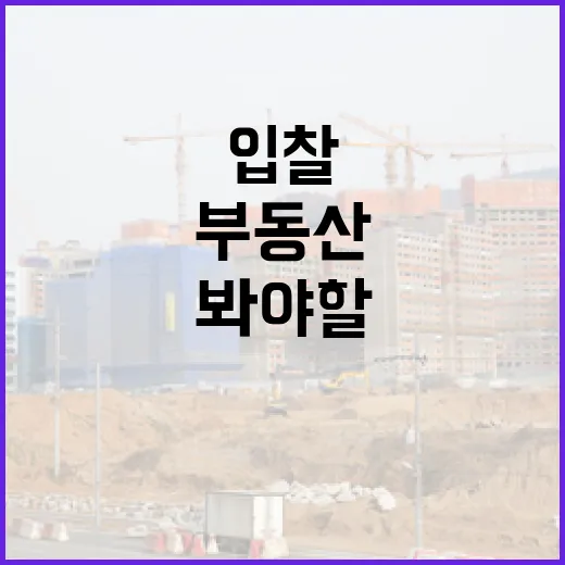 산업부동산 물건에 직접 입찰해봤더니 숫자보다 먼저 봐야 할 게 있었습니다 - 요약