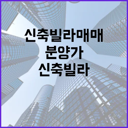 신축빌라매매 직접 따라가 봤더니, 분양가보다 먼저 봐야 할 것들 - 요약