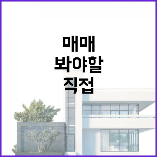 건물매매 직접 뛰어보니, 가격보다 먼저 봐야 할 게 따로 있더라 - 요약