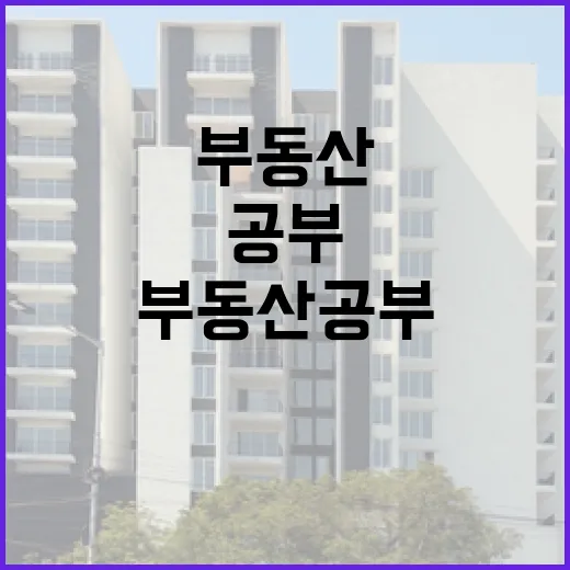 경매장에서 10년 굴러보니 부동산공부는 책상보다 현장에서 갈리더라 - 요약