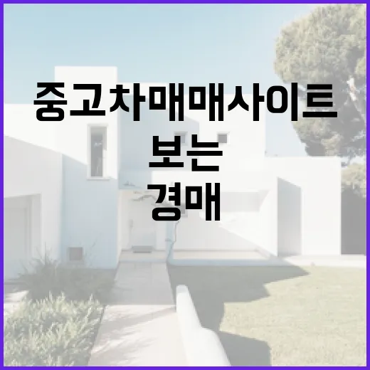 중고차매매사이트로 차 한 대 골라봤더니, 경매 물건 보는 눈이 그대로 필요했다 - 요약