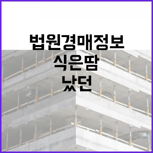 법원경매정보만 믿고 입찰했다가 현장에서 식은땀 났던 이야기 - 요약