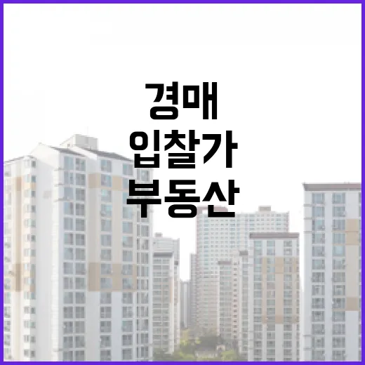 KB부동산으로 경매 시세 잡아봤더니, 입찰가가 달라진 이야기 - 요약