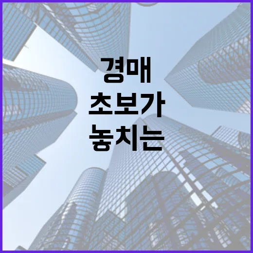 오피스텔 경매 몇 번 받아봤더니 초보가 제일 자주 놓치는 것들 - 요약
