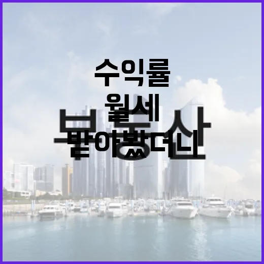 월세 물건 몇 번 받아봤더니, 수익률보다 먼저 보이는 것들 - 요약
