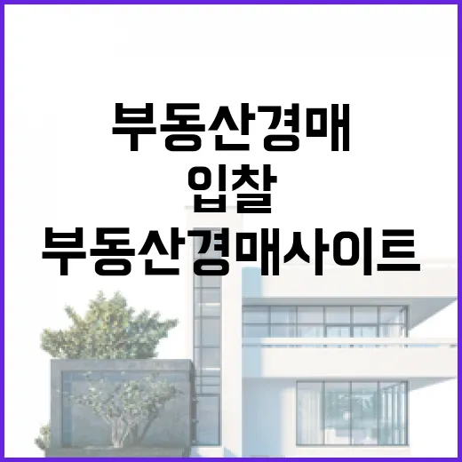 부동산경매사이트만 믿고 입찰했다가 현장에서 식은땀 난 이야기 - 요약