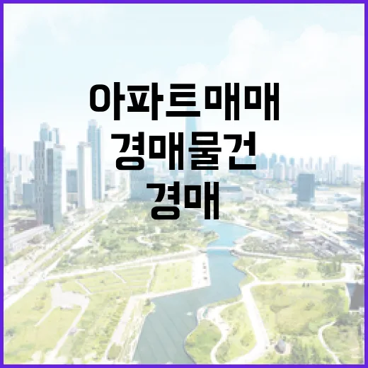 아파트매매 전에 경매 물건부터 뒤져봤더니 보이던 진짜 가격 - 요약