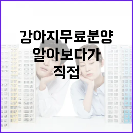 강아지무료분양 직접 알아보다가 계약서부터 본 이유 - 요약