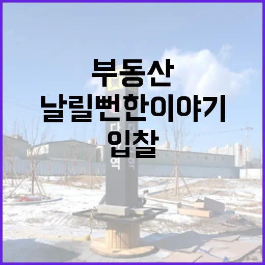 부동산시세 믿고 입찰했다가 보증금 날릴 뻔한 이야기 - 요약