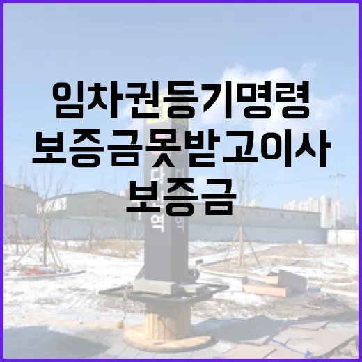 보증금 못 받고 이사 간 세입자, 임차권등기명령 물건을 직접 따라가 봤더니 - 요약