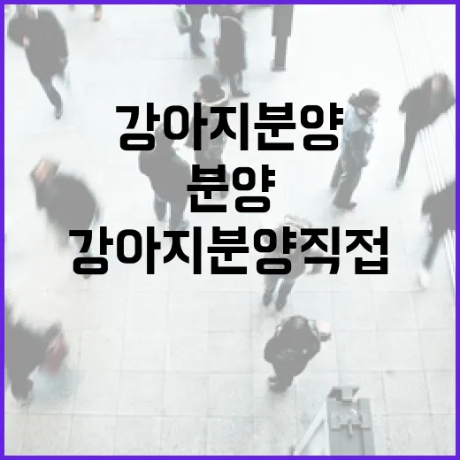 강아지분양 직접 알아보다가 경매 물건 보듯 따져본 진짜 이야기 - 요약