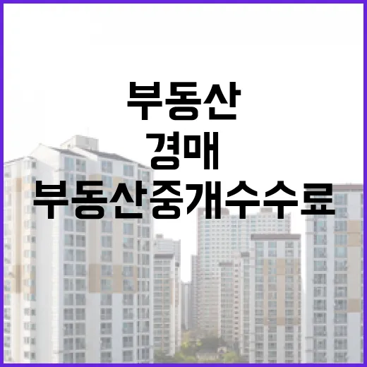 경매로 산 집 팔아봤더니 부동산중개수수료가 생각보다 아팠던 이야기 - 요약