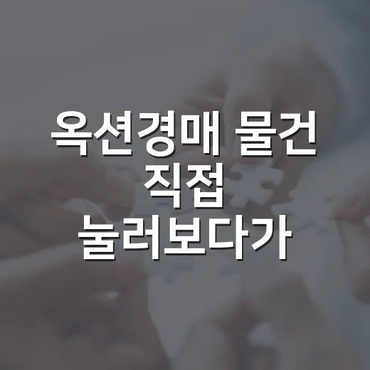 옥션경매 물건 직접 눌러보다가 초보가 놓치는 함정까지 본 이야기 - 요약