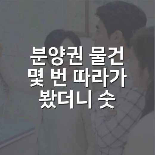 분양권 물건 몇 번 따라가 봤더니 숫자보다 무서운 게 따로 있더라 - 요약