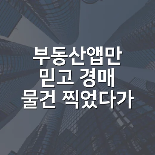 부동산앱만 믿고 경매 물건 찍었다가 현장에서 다시 계산한 이야기 - 요약