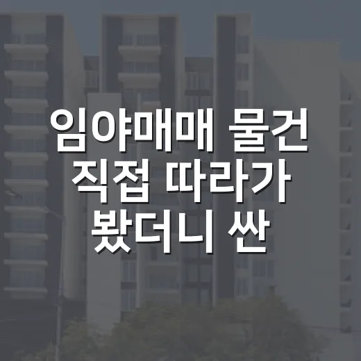 임야매매 물건 직접 따라가 봤더니 싼 땅에도 이유가 있더군요 - 요약