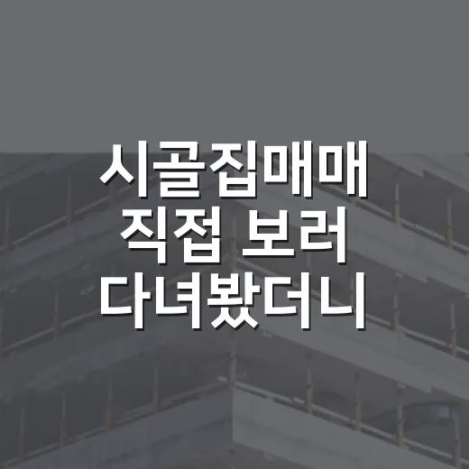 시골집매매 직접 보러 다녀봤더니, 집보다 땅과 길이 더 무섭더라 - 요약
