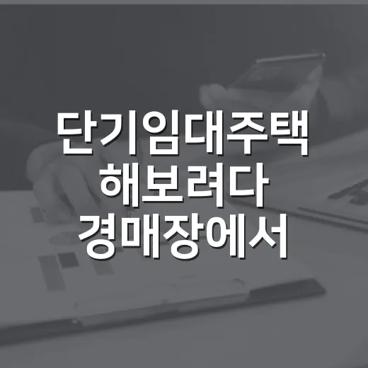 단기임대주택 해보려다 경매장에서 계산 다시 한 이야기 - 요약