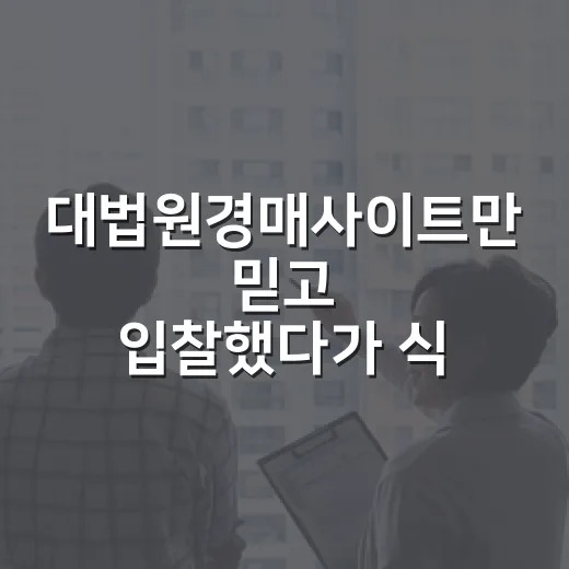대법원경매사이트만 믿고 입찰했다가 식은땀 난 이야기 - 요약