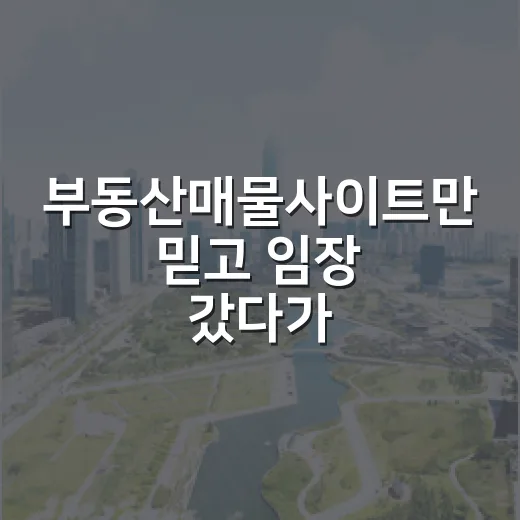 부동산매물사이트만 믿고 임장 갔다가 헛걸음한 진짜 이야기 - 요약