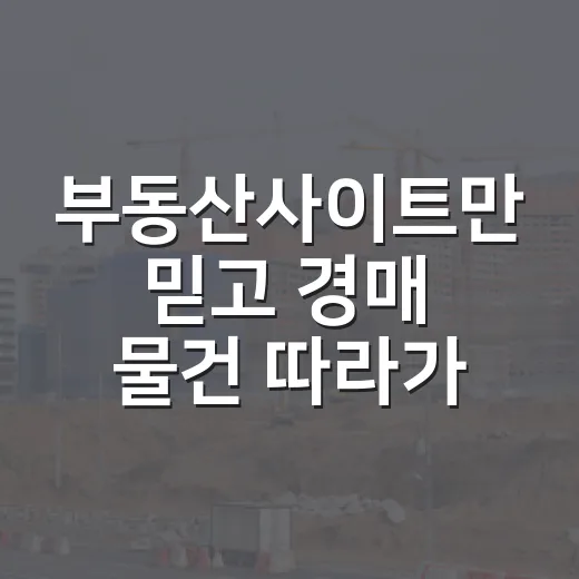 부동산사이트만 믿고 경매 물건 따라가봤더니 생긴 일 - 요약