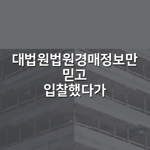 대법원법원경매정보만 믿고 입찰했다가 입찰장 앞에서 식은땀 난 이야기 - 요약