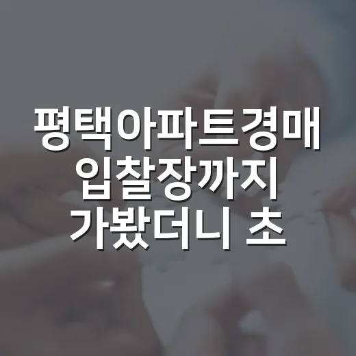 평택아파트경매 입찰장까지 가봤더니 초보가 놓치기 쉬운 것들 - 요약