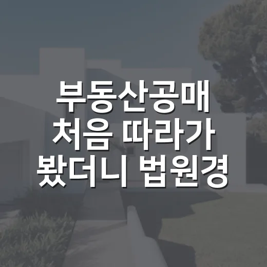 부동산공매 처음 따라가 봤더니 법원경매보다 더 무서웠던 이유 - 요약