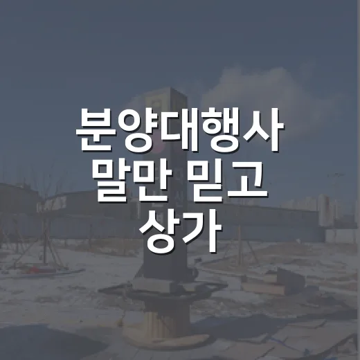 분양대행사 말만 믿고 상가 계약했다가 경매장에서 다시 만난 이야기 - 요약