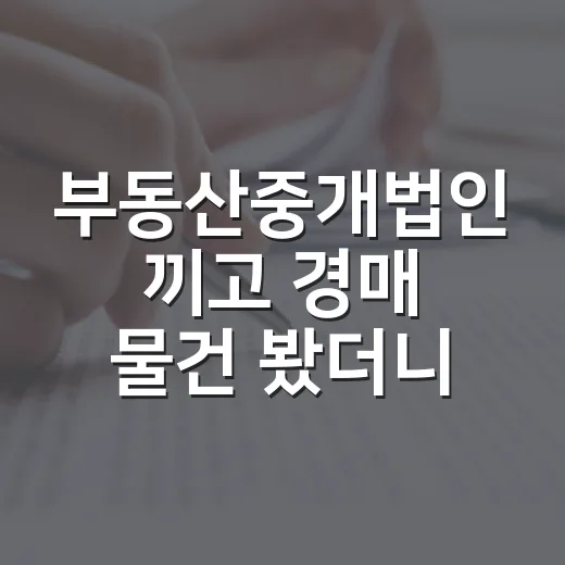 부동산중개법인 끼고 경매 물건 봤더니, 개인 사무소와 달랐던 진짜 지점들 - 요약