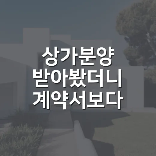 상가분양 받아봤더니 계약서보다 공실이 더 무섭더라 - 요약