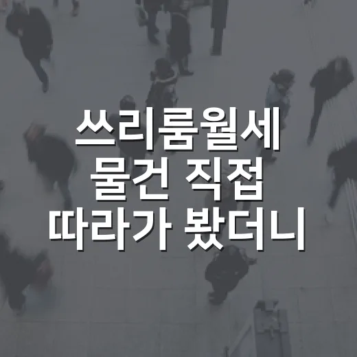 쓰리룸월세 물건 직접 따라가 봤더니, 싸 보이는 집에 숨어 있던 비용들 - 요약