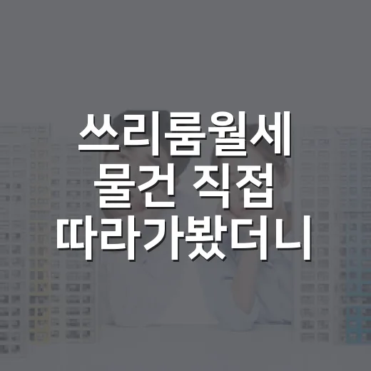 쓰리룸월세 물건 직접 따라가봤더니, 싸 보이는 방엔 이유가 있었다 - 요약