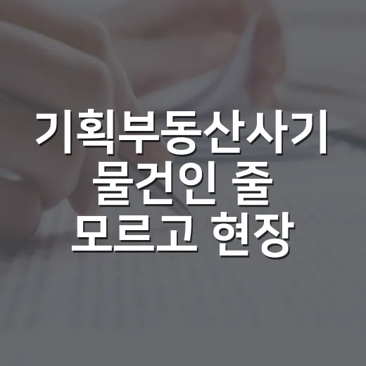 기획부동산사기 물건인 줄 모르고 현장에 갔다가 바로 발 뺀 이야기 - 요약