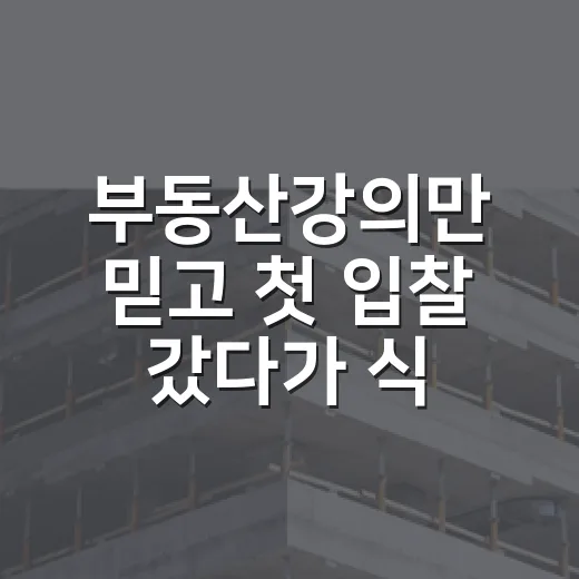 부동산강의만 믿고 첫 입찰 갔다가 식은땀 난 이야기 - 요약