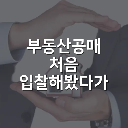 부동산공매 처음 입찰해봤다가 보증금 날릴 뻔한 진짜 이야기 - 요약