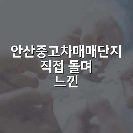 안산중고차매매단지 직접 돌며 느낀, 경매 투자자 눈에 보인 진짜 체크 포인트 - 요약
