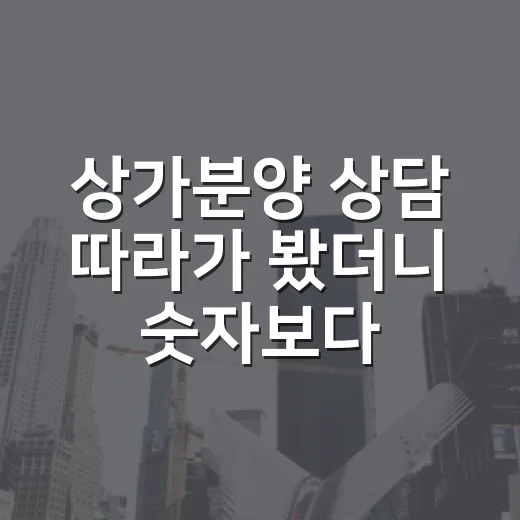 상가분양 상담 따라가 봤더니 숫자보다 먼저 봐야 할 게 있었습니다 - 요약