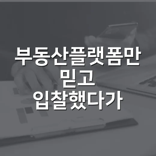 부동산플랫폼만 믿고 입찰했다가 현장에서 식은땀 난 이야기 - 요약