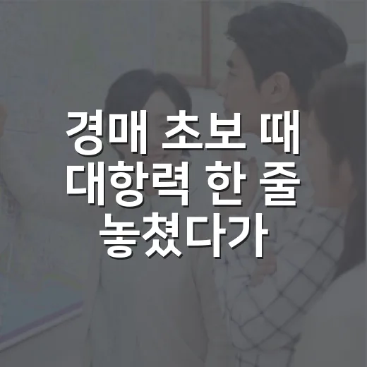 경매 초보 때 대항력 한 줄 놓쳤다가 식은땀 흘린 이야기 - 요약