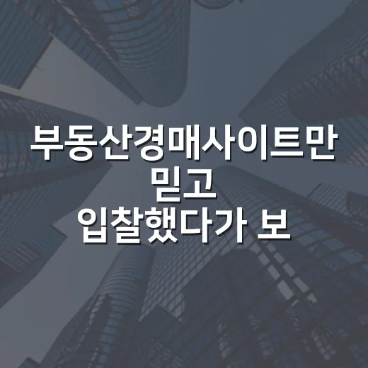 부동산경매사이트만 믿고 입찰했다가 보증금 날릴 뻔한 이야기 - 요약