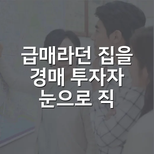 급매라던 집을 경매 투자자 눈으로 직접 매매해봤더니 - 요약