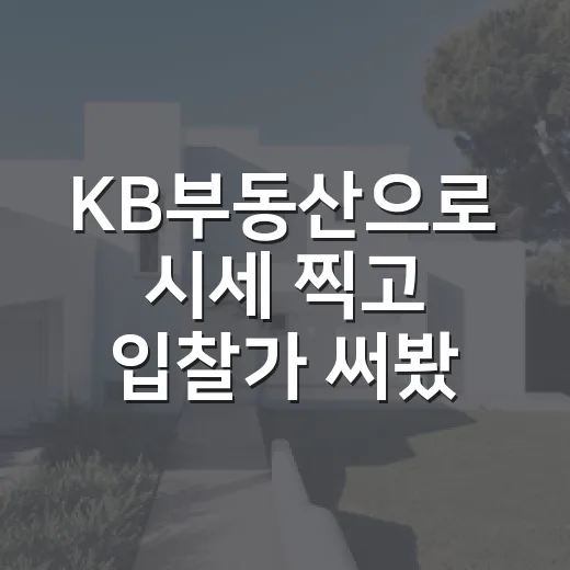 KB부동산으로 시세 찍고 입찰가 써봤더니, 현장에서 제일 먼저 보이는 것들 - 요약