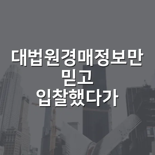 대법원경매정보만 믿고 입찰했다가 현장에서 식은땀 난 이야기 - 요약